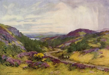 Denmark: Raebild Hills, near Aalborg
