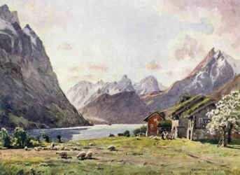Hjorund Fjord, Oie