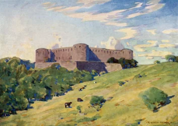 Ruins of Borgholm Castle, Oland