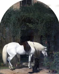 White Horse and Retriever