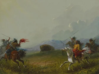 Buffalo at Bay