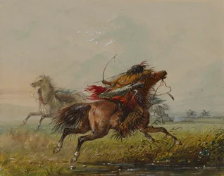 Dodging an Arrow (Crow)