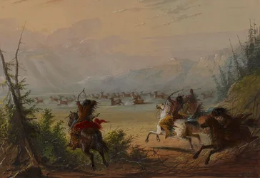Hunting Elk