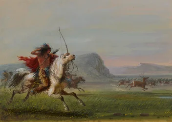 Hunting Elk