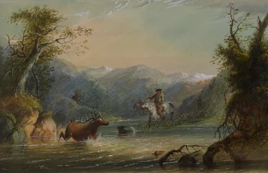 Hunting the Elk
