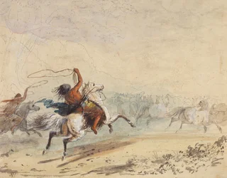 Lassoing Wild Horses, c.1837
