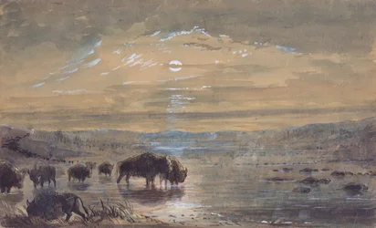 Night Scene, Buffaloes on the Prairie, c.1837
