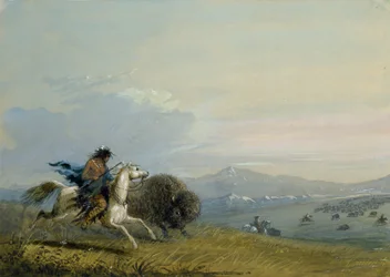 Pawnee Running Buffalo