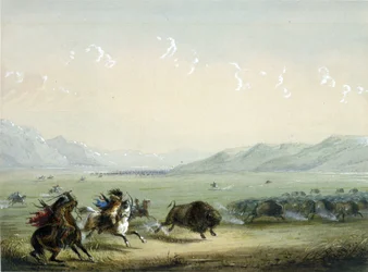 Running Buffalo