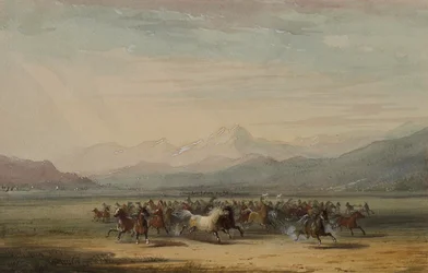 Stampede of Wild Horses
