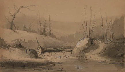 Stream with a Fallen Tree