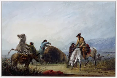 Taking the Hump Rib