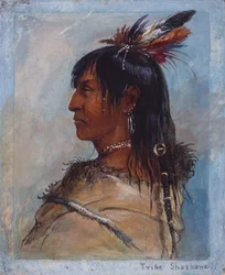 Tribe Shoshone