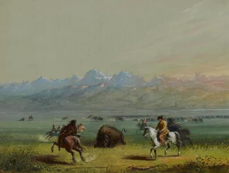Wounded Buffalo