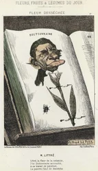Déséchée flower: cartoon on Littré - ill. from 