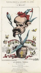 The Carnation: Cartoon on General Louis Jules Trochu - Illustration of 11/01/1871 in 