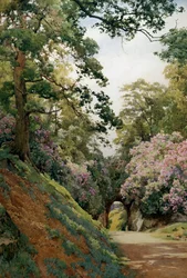 A Flowery Glade