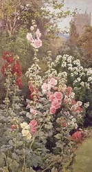 The Garden