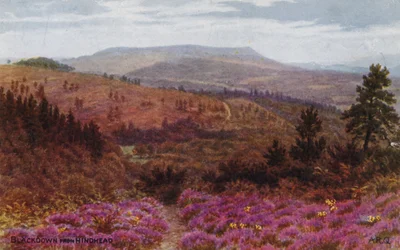 Blackdown from Hindhead
