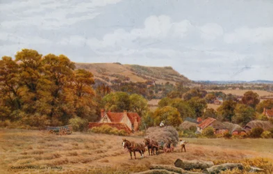 Chanctonbury Ring Near Worthing