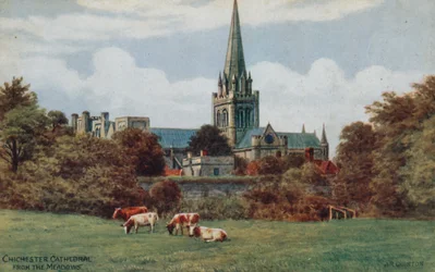 Chichester Cathedral from the Meadows