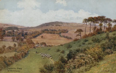 Cissbury Ring Near Worthing