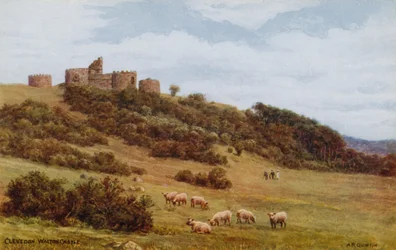 Clevedon, Walton Castle