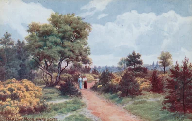 Harlow Moor, Harrogate