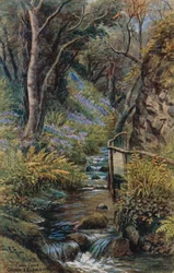Lhen Coan, Groudle Glen, Isle of Man