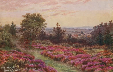 The Moor, Harrogate