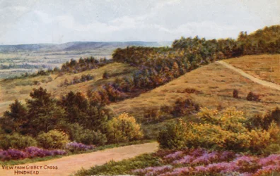 View from Gibbet Cross, Hindhead