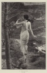 A Wood-Nymph