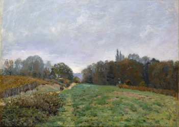 Landscape of Louveciennes