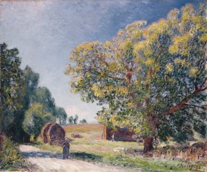 A Clearing in a Forest