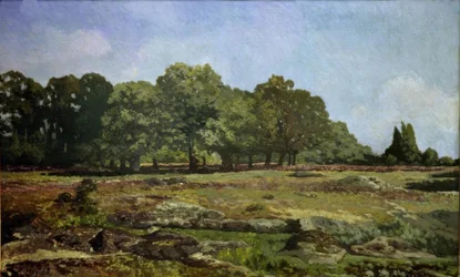 Chestnut Avenue at La Celle-Saint Cloud