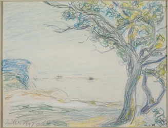 Trees by the Sea