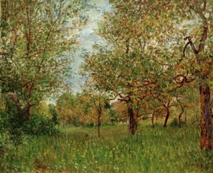 Small Meadow in By