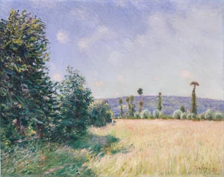Sahurs Meadows in Morning Sun, 1894