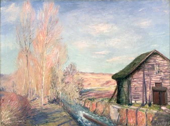 Spring in the Countryside, outskirts of Moret