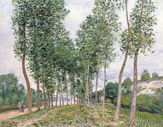 The Avenue of Poplars along the Banks of the Loing