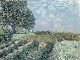The Market Gardens