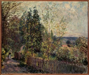 Forest Path