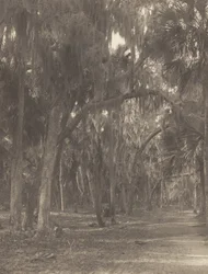 At Rockledge, Florida