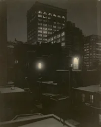 From the Back Window - 291