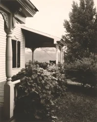 House and Grape Leaves
