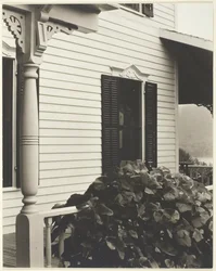 House and Grape Leaves, 1934