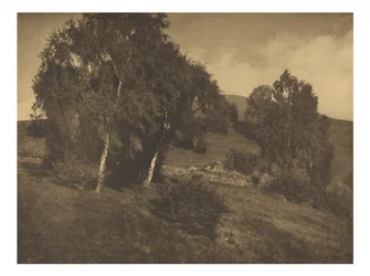 Landscape, The Tyrol
