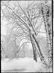 Snowscape, Berlin