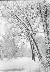 Snowscape, Berlin
