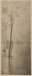 Spring Showers, 1900